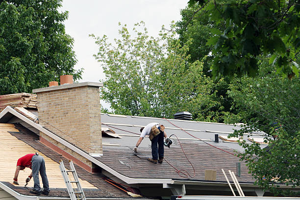Roof Gutter Cleaning in Pace, FL